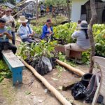 Minga de injertos de 1.500 plantas